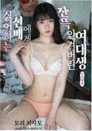 南部探案经典回顾